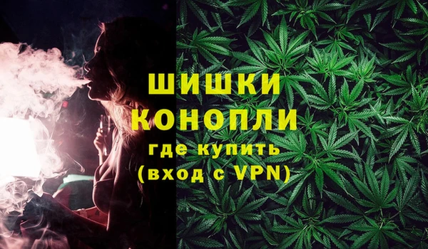 ГАЛЛЮЦИНОГЕННЫЕ ГРИБЫ Ленинск-Кузнецкий