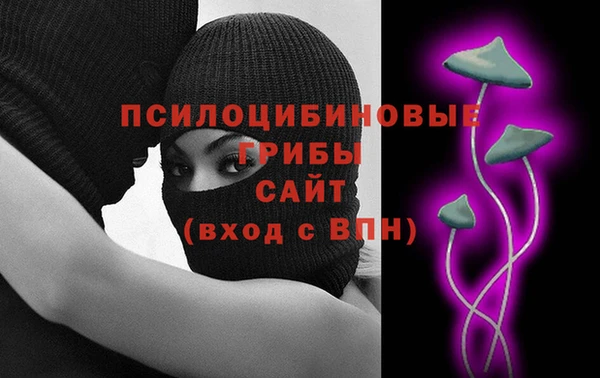 метадон Елизово