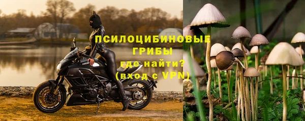 экстази Ельня