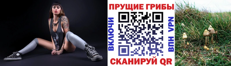 как найти закладки  Реж  Псилоцибиновые грибы Magic Shrooms 