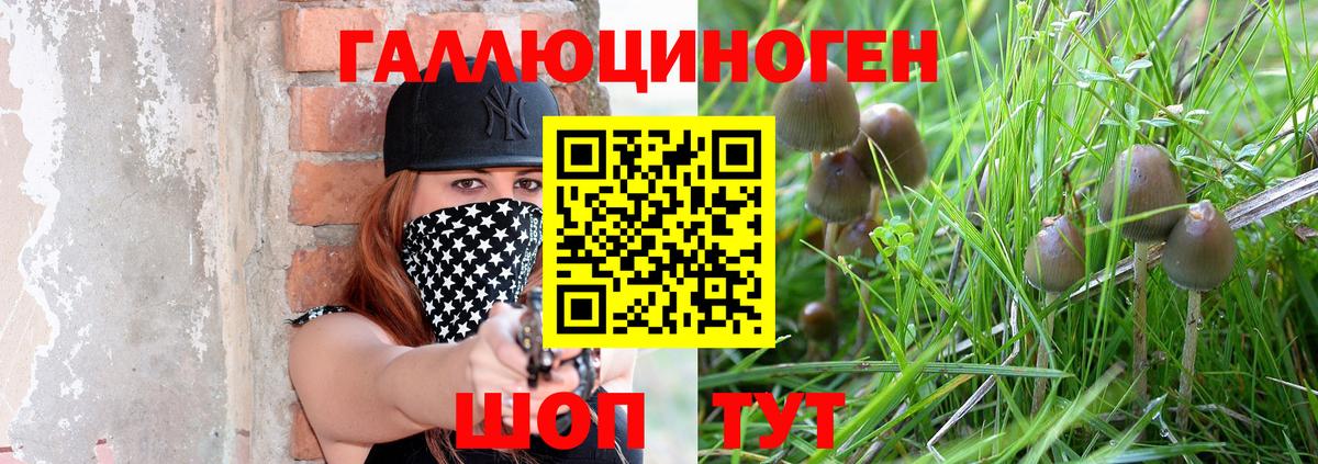 Реж  Псилоцибиновые грибы ЛСД  сколько стоит  Вход с VPN 