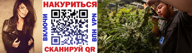 это официальный сайт Реж Каннабис план наркотики